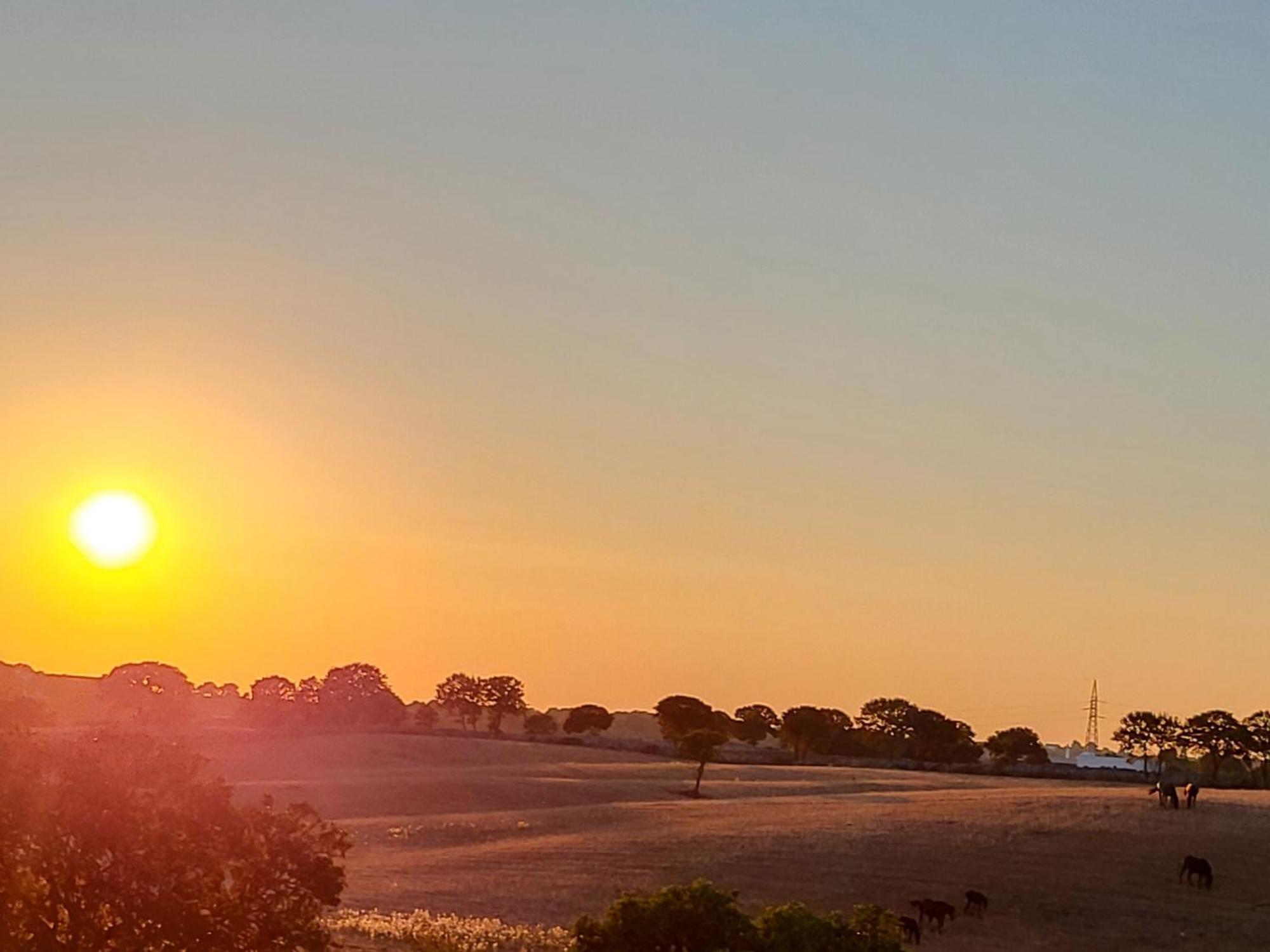 Farm stay Masseria Santolomuto Noci